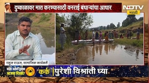 Drought News | दुष्काळाच्या पार्श्वभूमीवर अकोले तालुक्यात जलसंधारणाचं काम, वनराई बंधाऱ्यांचा आधार