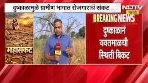 Yavatmal Drought | सरासरीपेक्षा 31 टक्के कमी पाऊस, दुष्काळानं यवतमाळची परिस्थिती बिकट | NDTV Marathi