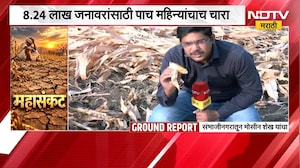 Sambhajinagar Drought | संभाजीनगरमध्ये चारा संकटाची चाहूल, NDTV मराठीचा Ground Report