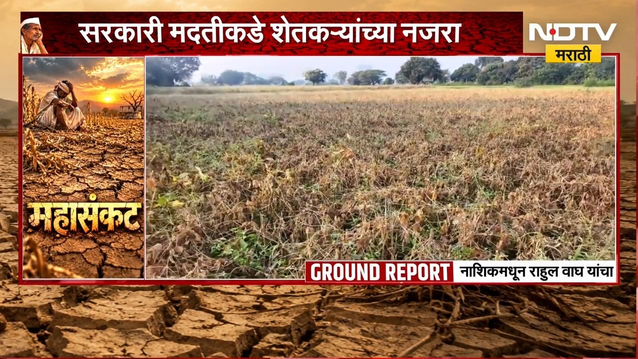 Nashik Drought | नाशिकला दुष्काळाचा मोठा फटका, शेतकऱ्यांचं आर्थिक गणित बिघडलं; पिकांचं मोठं नुकसान