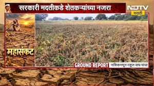 Nashik Drought | नाशिकला दुष्काळाचा मोठा फटका, शेतकऱ्यांचं आर्थिक गणित बिघडलं; पिकांचं मोठं नुकसान