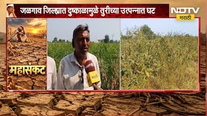 Jalgaon Drought | दुष्काळामुळे तुरीच्या उत्पादनात घट, शेतकरी संकटात; NDTV मराठीचा Ground Report