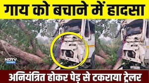 Sikar Accident: जीण माता के दर्शन कर लौट रहे थे श्रद्धालु, पेड़ से टकराया ट्रेलर, मची चीख-पुकार!