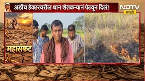 Bhandara Drought | दुष्काळामुळे शेतकरी त्रस्त, अडीच हेक्टरवरील धान शेतकऱ्याने पेटवून दिलं