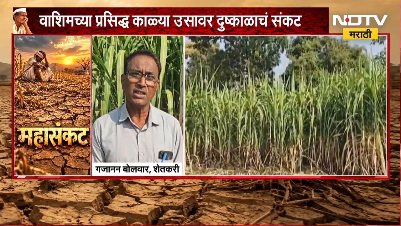Washim Sugarcane Crop | वाशिमच्या काळ्या ऊसावर दुष्काळाचं संकट, उत्पन्नाची आशा मावळली