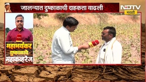 Jalna Drought|आल्याचं पीक वाचवण्यासाठी टँकरच्या पाण्याचा आधार;टँकरचा वाढता खर्च,दुहेरी संकटात शेतकरी