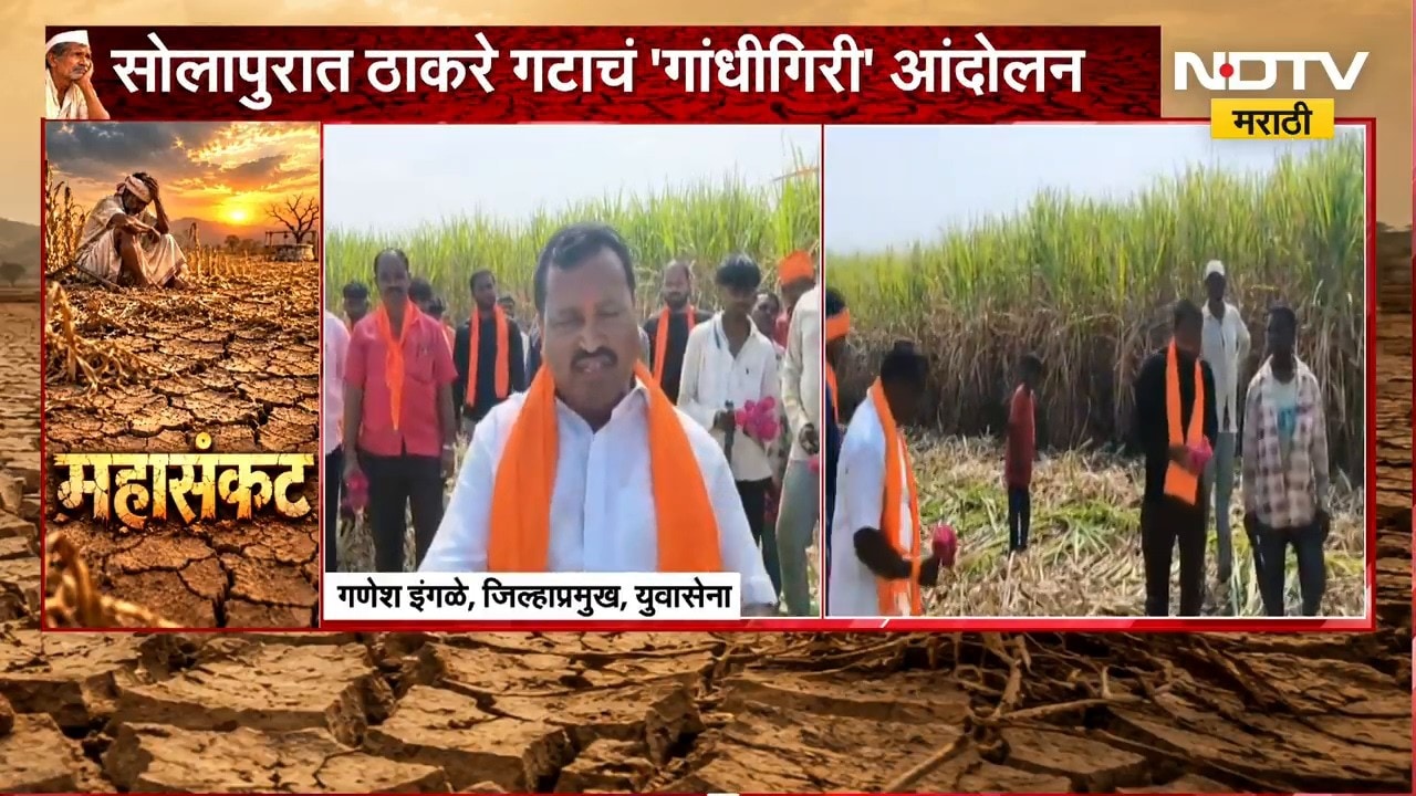 ऊसाला प्रतिटन 5 हजारांचा भाव द्या, सोलापुरात ठाकरे गटाचं 'गांधीगिरी' आंदोलन | Solapur | Protest