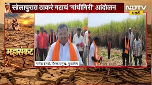 ऊसाला प्रतिटन 5 हजारांचा भाव द्या, सोलापुरात ठाकरे गटाचं 'गांधीगिरी' आंदोलन | Solapur | Protest