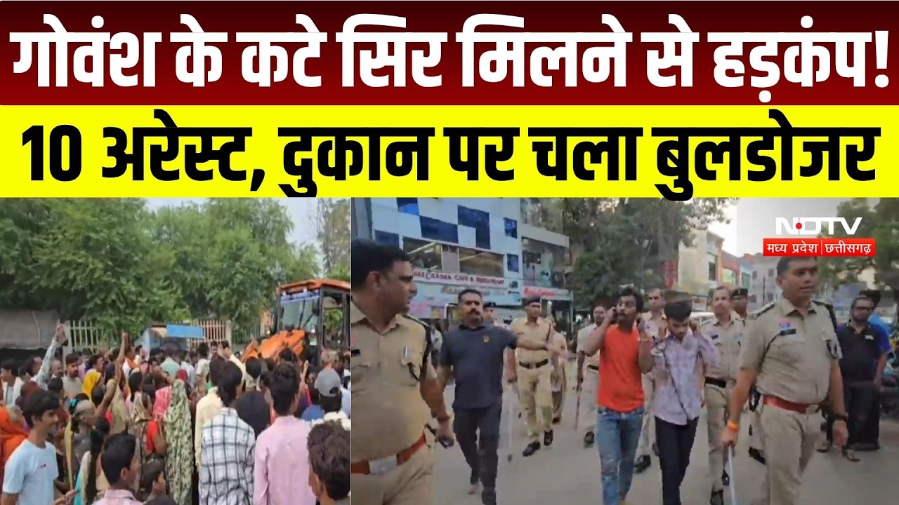 Rajnandgaon Cow Case: गोवंश के कटे सिर मिलने पर एक्शन, 10 आरोपी गिरफ्तार, दुकान पर चला बुलडोजर | CG