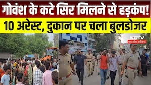 Rajnandgaon Cow Case: गोवंश के कटे सिर मिलने पर एक्शन, 10 आरोपी गिरफ्तार, दुकान पर चला बुलडोजर | CG