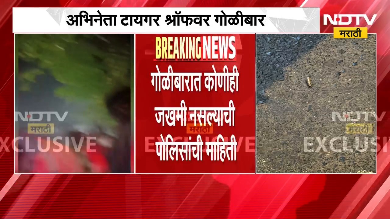 Tiger Shroff च्या गाडीवर Firing, सरकारचा धाक राहिलेला नाहीय, किशोरी पेडणेकरांची टीका | NDTV मराठी