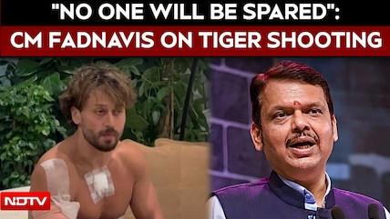 Tiger Shroff Attack Probe | "No One Will Be Spared": Maharashtra Chief Minister Devendra Fadnavis