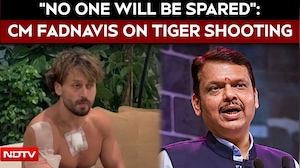 Tiger Shroff Attack Probe | "No One Will Be Spared": Maharashtra Chief Minister Devendra Fadnavis