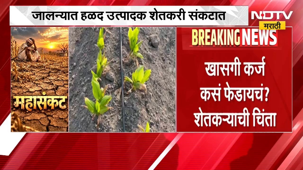 Jalna Drought | अपुऱ्या पावसामुळे हळदीचं पीक करपलं, कर्ज कसं फेडायचं? शेतकऱ्यांना चिंता | NDTV