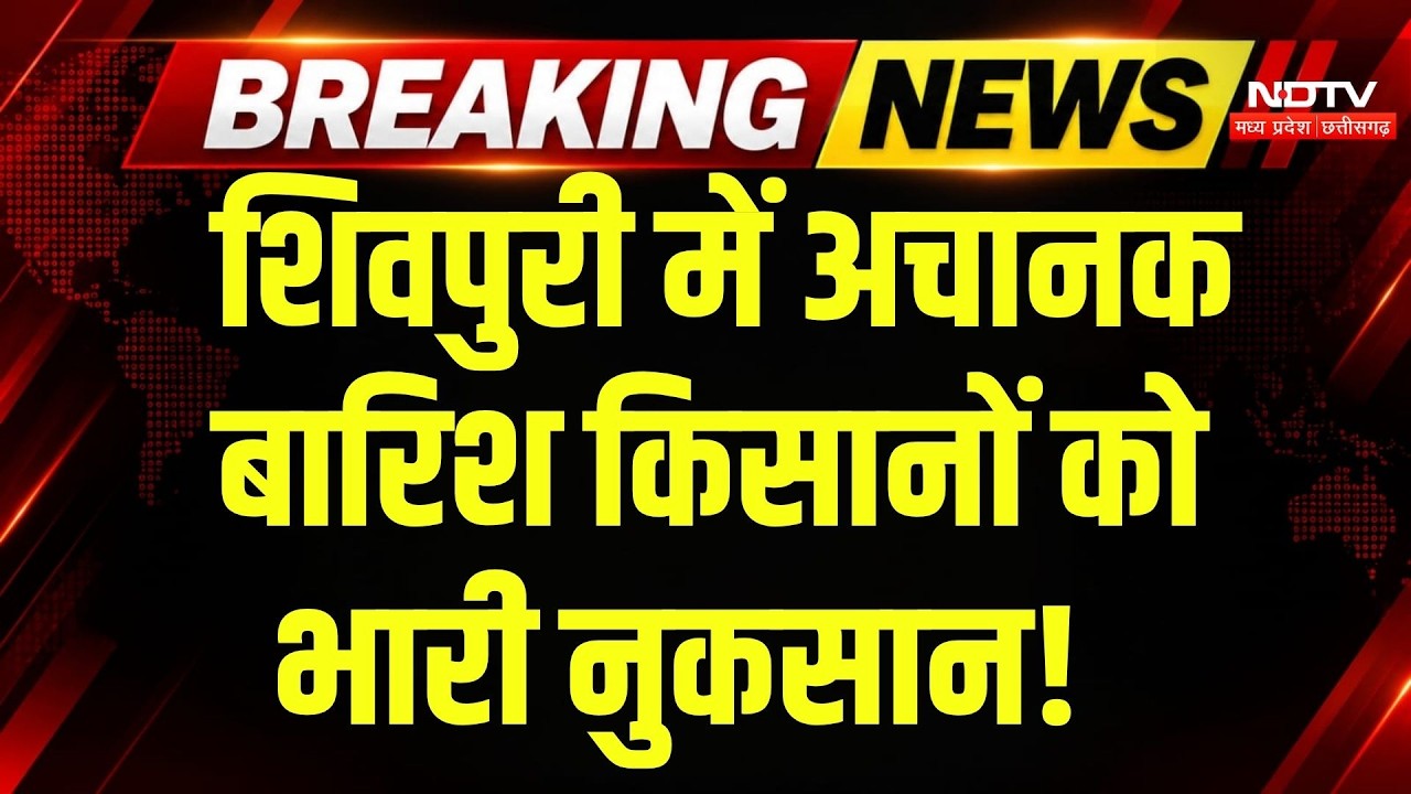 MP Weather Alert: Shivpuri में बेमौसम बारिश से किसान को नुकसान, 70 क्विंटल मक्का बहा | Monsoon | MP
