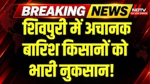 MP Weather Alert: Shivpuri में बेमौसम बारिश से किसान को नुकसान, 70 क्विंटल मक्का बहा | Monsoon | MP