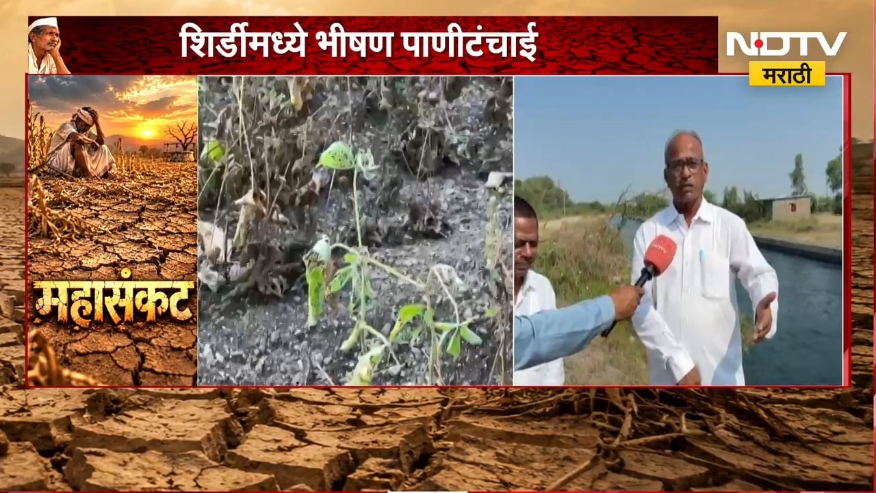 Shirdi Drought| शिर्डीमध्ये भीषण पाणी टंचाई, राहता तालुक्यातील गणेश बंधारा कोरडाठाक | NDTV Marathi