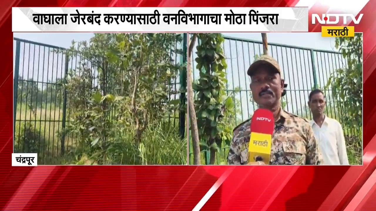 Chandrapur| चंद्रपुरात मानव-वन्यजीवन संघर्ष तीव्र, वाघाला जेरबंद करण्यासाठी वनविभागाचा मोठा पिंजरा