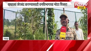 Chandrapur| चंद्रपुरात मानव-वन्यजीवन संघर्ष तीव्र, वाघाला जेरबंद करण्यासाठी वनविभागाचा मोठा पिंजरा