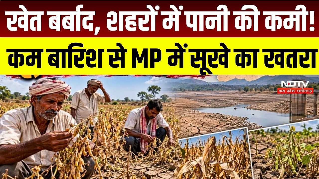 Madhya Pradesh में सूखे का खतरा! Indore से Dhar तक जल संकट, खेती पर भी मंडराया संकट |Weather | IMD