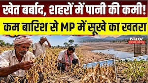 Madhya Pradesh में सूखे का खतरा! Indore से Dhar तक जल संकट, खेती पर भी मंडराया संकट |Weather | IMD