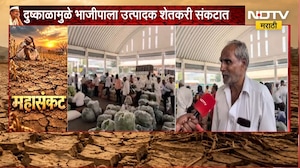 Pune Drought| दसऱ्याच्या मुहूर्तावर भाज्यांचे दर घसरले, दुष्काळामुळे भाजीपाला उत्पादक शेतकरी संकटात