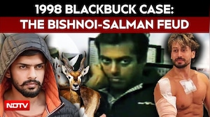 Salman Khan vs Bishnois: How A 1998 Poaching Case Became A Gangster's Calling Card