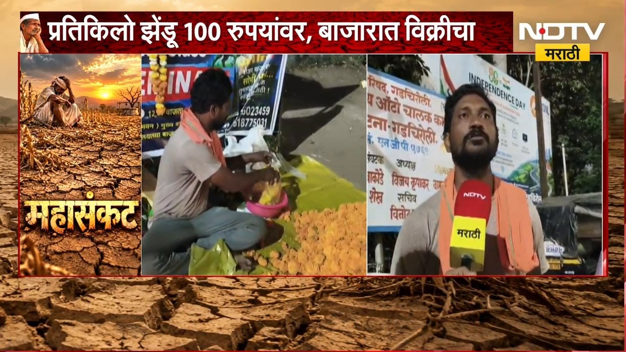 Gadchiroli | झेंडू प्रतिकिलो 100 रुपयांवर, शंभरी गाठल्याने ग्राहकांच्या खिशाला फटका | NDTV Marathi