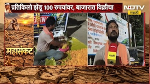 Gadchiroli | झेंडू प्रतिकिलो 100 रुपयांवर, शंभरी गाठल्याने ग्राहकांच्या खिशाला फटका | NDTV Marathi