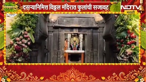 Pandharpur Vitthal Temple | दसऱ्यानिमित्त विठ्ठल मंदिराला फुलांची आकर्षक सजावट | NDTV Marathi