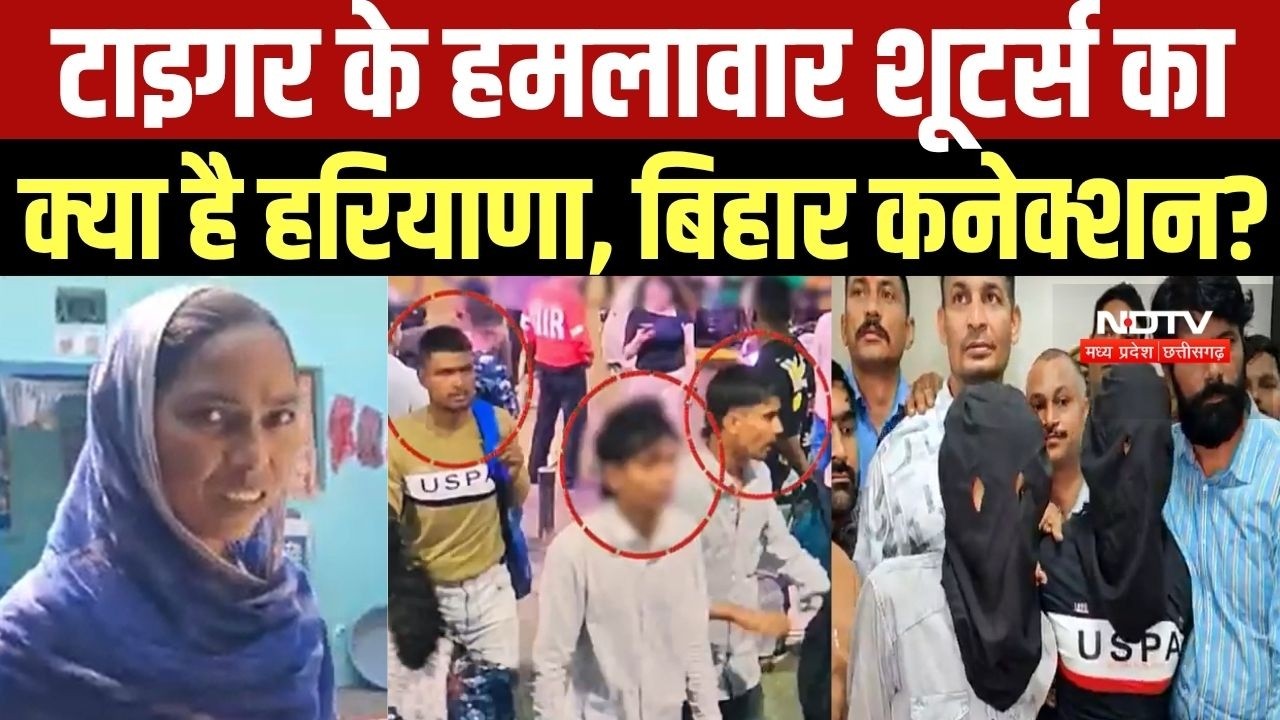 Tiger Shroff Firing: टाइगर श्रॉफ के हमलावार शूटर्स का क्या है Haryana, Bihar कनेक्शन?