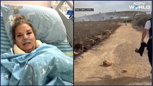 US Journalist Who Was Attacked By Israeli Settlers Recounts Ordeal, Says I Was Shocked & Insulted