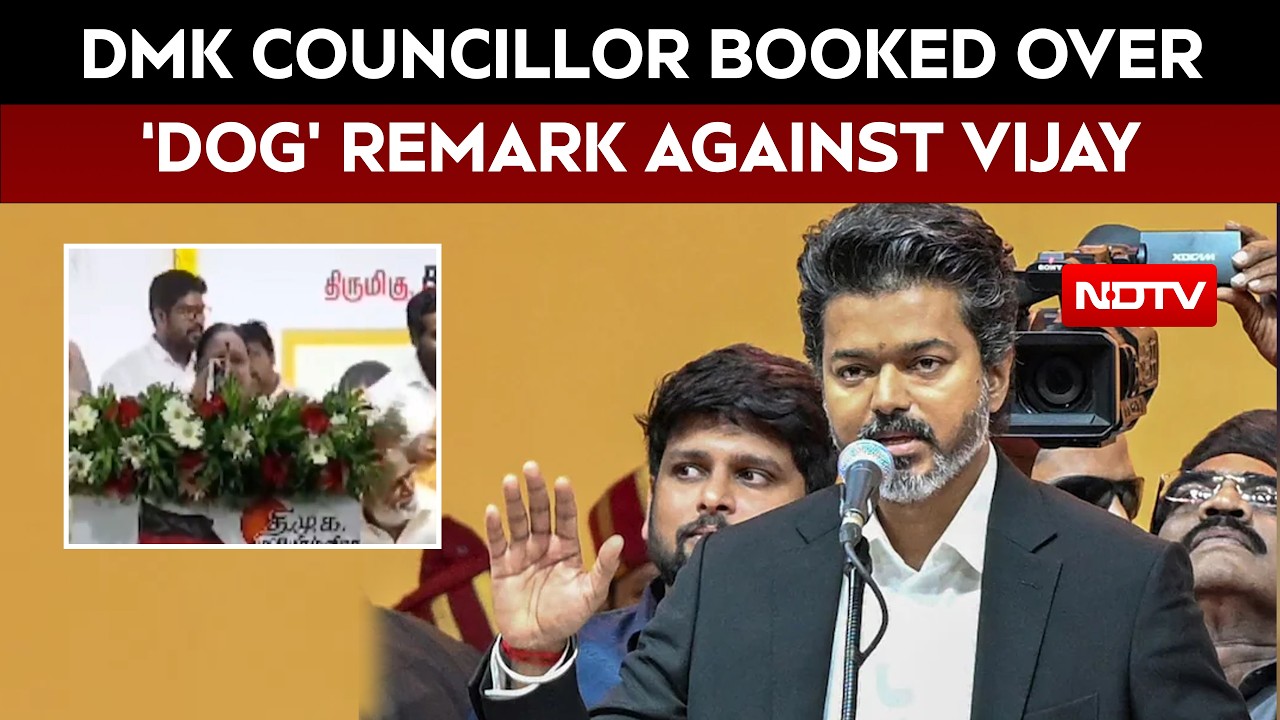 TVK Hits Back After DMK Leader's Indecent Remark Against Vijay