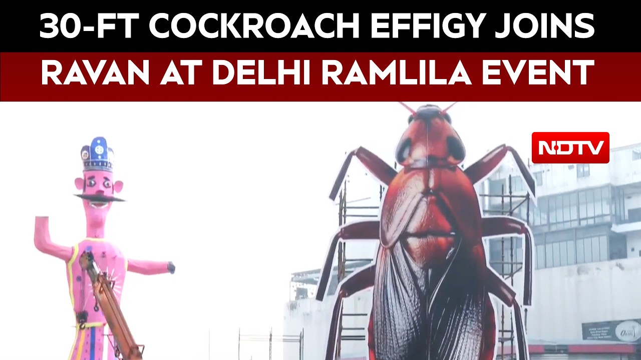 Delhi Ramlila To Burn 30-Foot Cockroach Effigy Today To Promote Cleanliness