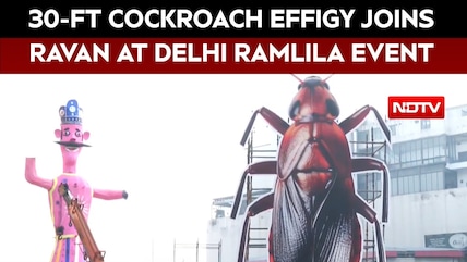 Delhi Ramlila To Burn 30-Foot Cockroach Effigy Today To Promote Cleanliness