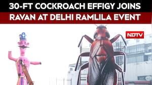 Delhi Ramlila To Burn 30-Foot Cockroach Effigy Today To Promote Cleanliness
