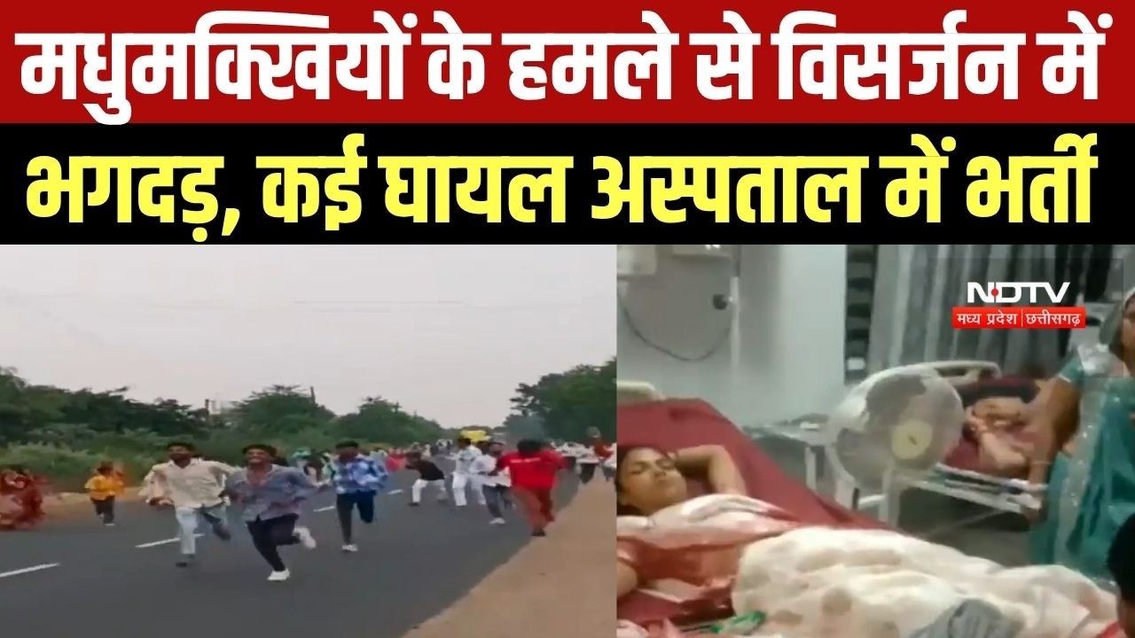 Devas: मधुमक्खियों के हमले मच गई भगदड़, सैकड़ों की संख्या में लोग भागने लगे, कई अस्पताल में भर्ती