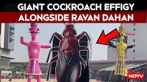 Dussehra In Delhi | 30-Foot-Tall Cockroach Effigy To Be Burnt Alongside Ravan In Pritampura