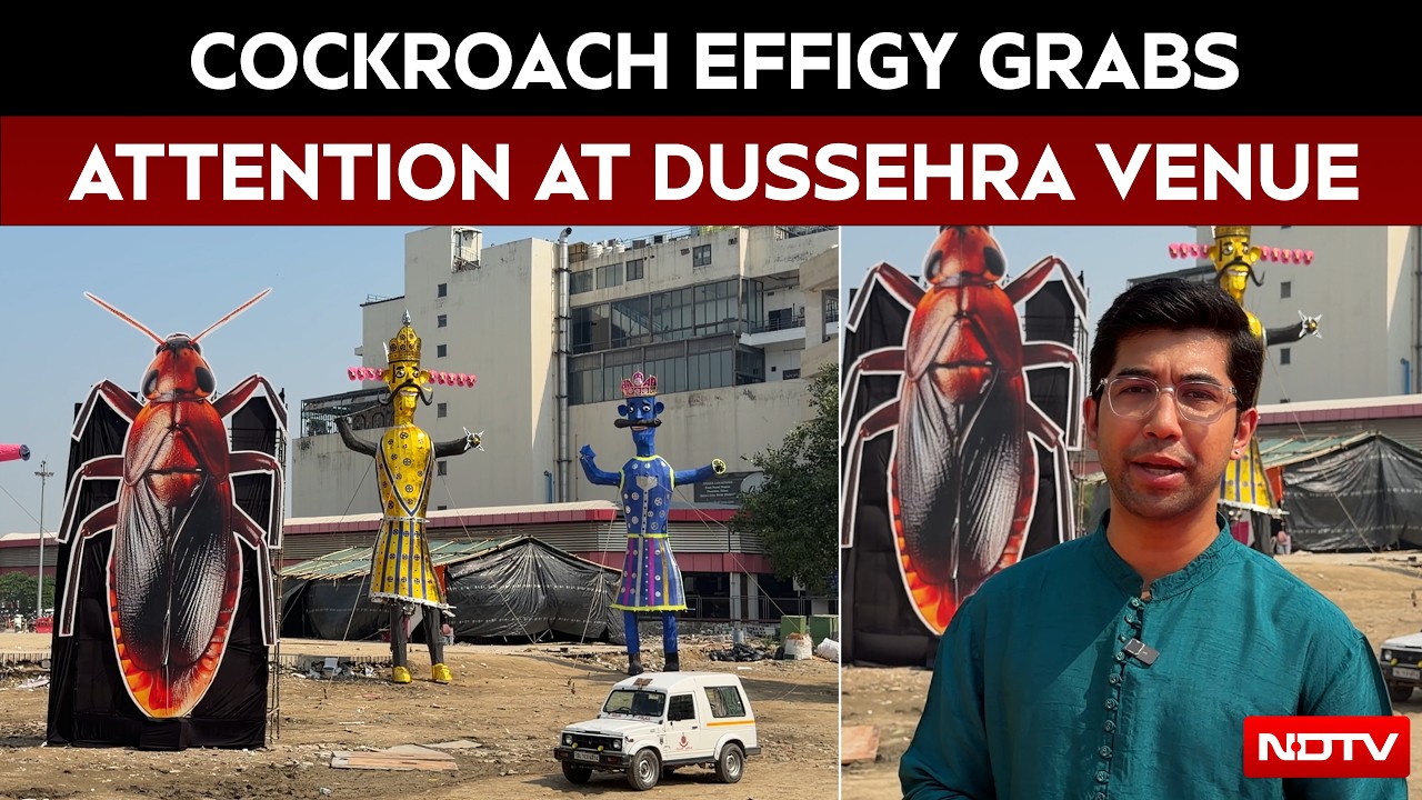 Cockroach Effigy Sparks Buzz At Delhi Ramlila Ground In Pitampura, Organisers Deny Political Link