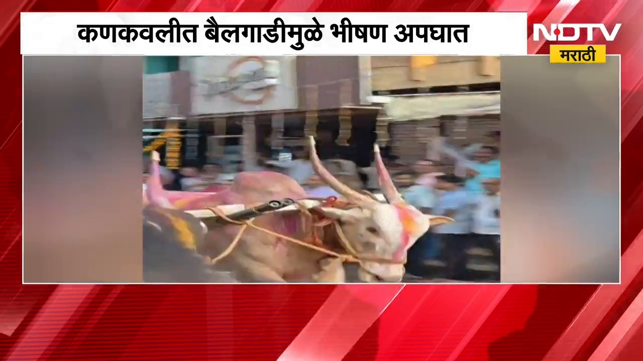Kankavli मध्ये बैलगाडीमुळे भीषण अपघात, बैलगाडीच्या जीवघेण्या प्रथेवर आळा घालण्याची मागणी | NDTV