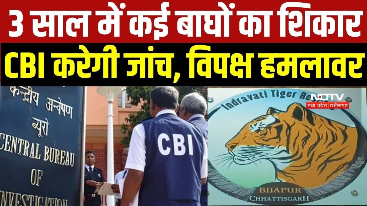 CBI To Probe Tiger Poaching: Chhattisgarh में 3 सालों में कई बाघों का शिकार, अब CBI करेगी जांच