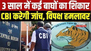 CBI To Probe Tiger Poaching: Chhattisgarh में 3 सालों में कई बाघों का शिकार, अब CBI करेगी जांच