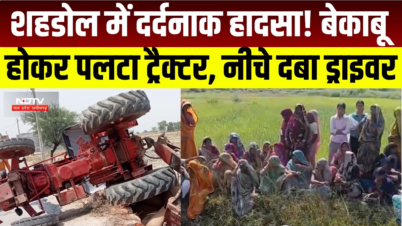 MP News: Shahdol में दर्दनाक हादसा! Tractor पलटने से चालक की मौत । Breaking News