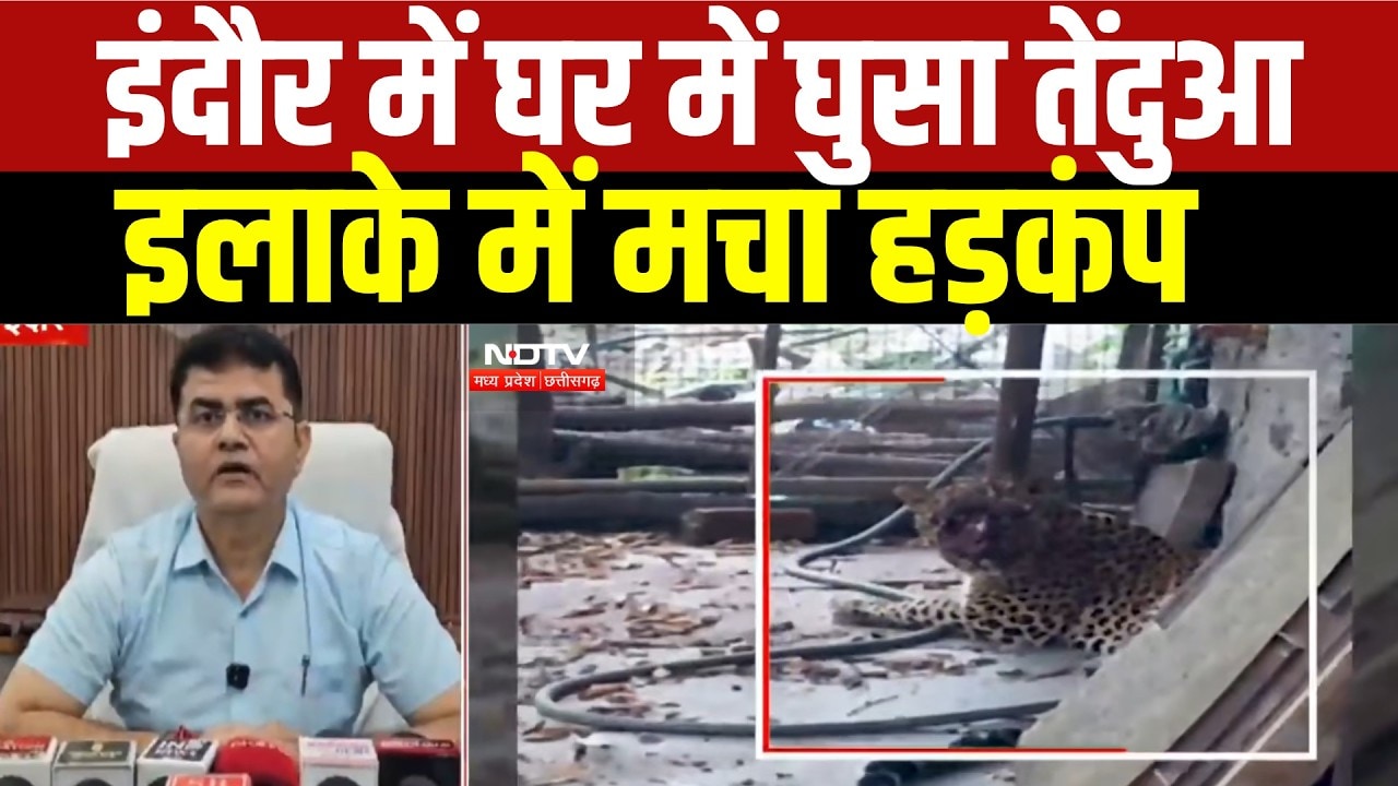 Indore Leopard News: घर में घुसा तेंदुआ, इलाके में मचा हड़कंप । Breaking News
