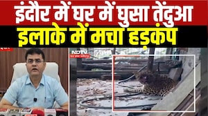 Indore Leopard News: घर में घुसा तेंदुआ, इलाके में मचा हड़कंप । Breaking News