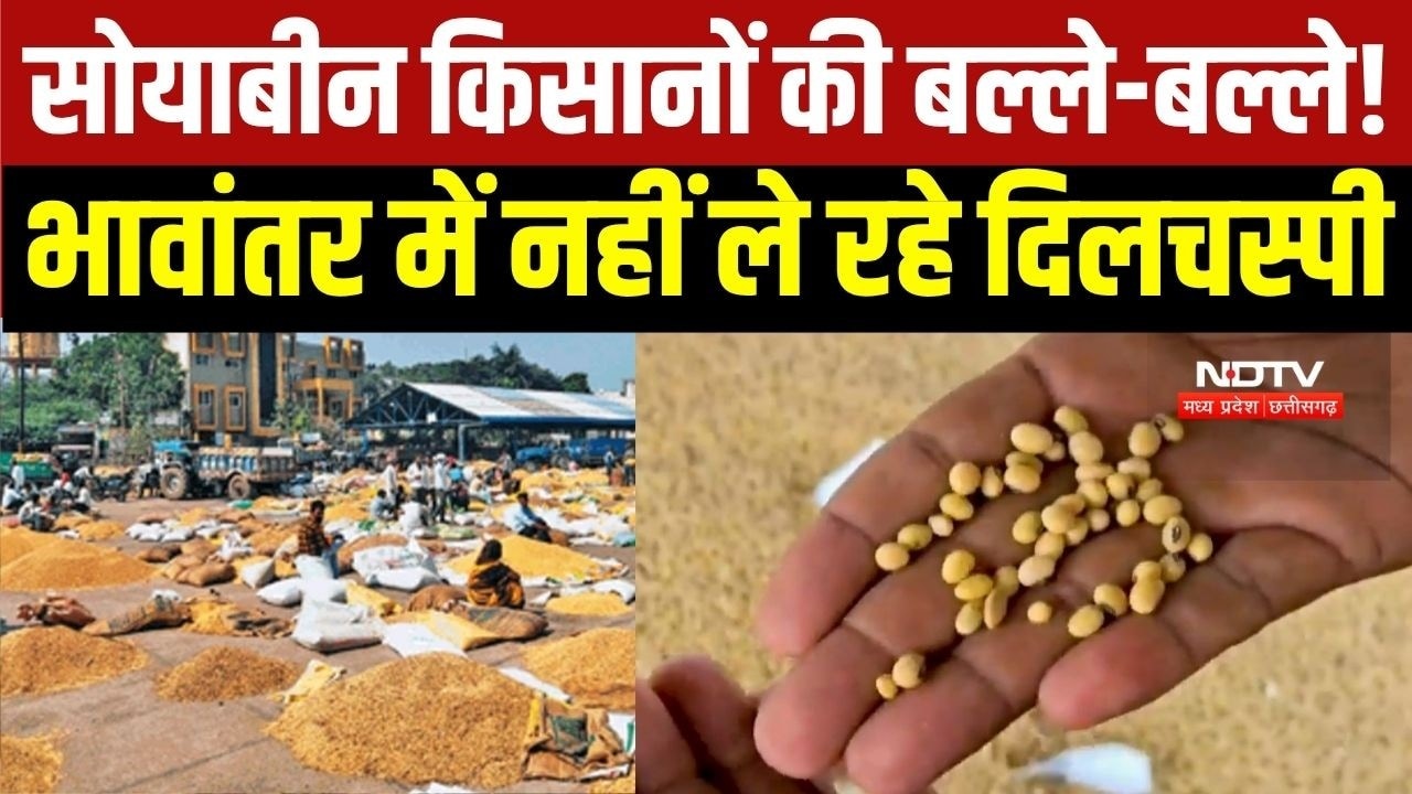 Burhanpur के Soyabean Farmers को Bhavantar Bhugtan Yojana में दिलचस्पी क्यों नहीं?