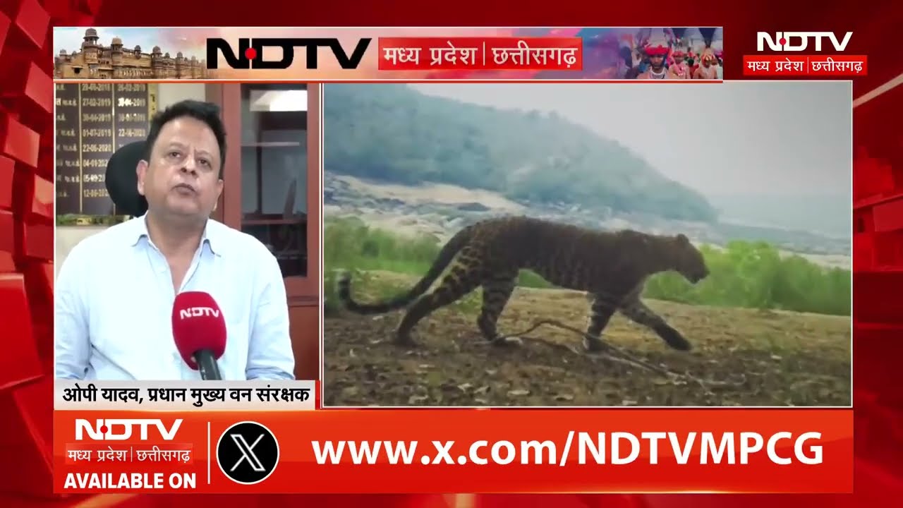 Chhattisgarh में Tiger का शिकार और अंगों की Smuggling, अब CBI करेगी जांच? । Breaking News