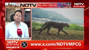 Chhattisgarh में Tiger का शिकार और अंगों की Smuggling, अब CBI करेगी जांच? । Breaking News