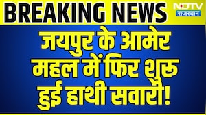 Jaipur के Amer महल में फिर शुरू हुई हाथी सवारी! | Top News | Breaking News | Rajasthan