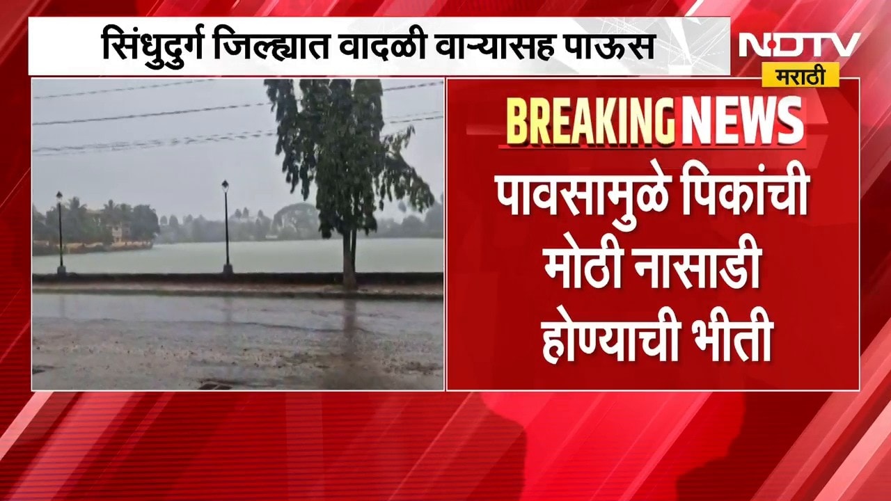Sindhudurg Rain| सिंधुदुर्ग जिल्ह्यात वादळी वाऱ्यासह पाऊस;सावंतवाडी, कुडाळमध्ये पावसाची जामदार हजेरी